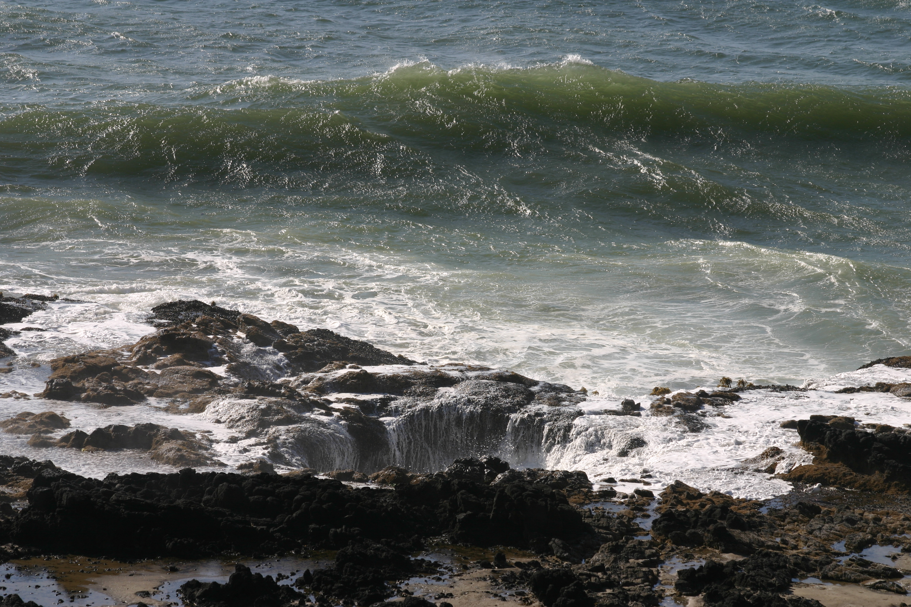 What is Monoatomic? Seawater